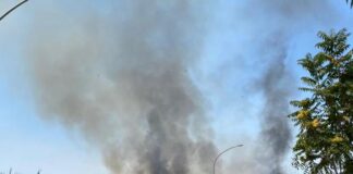 Cesa, un altro incendio al confine con Sant’Arpino. I cittadini attaccano il sindaco Guida. “Cosa aspetta prima di intervenire?”