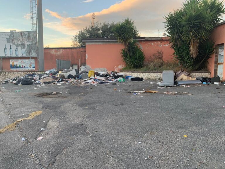 FOTOGALLERY Sant’Arpino, tante discariche a cielo aperto: mentre il sindaco Di Mattia pensa alla potatura degli alberi
