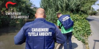 Traffico di rifiuti speciali: numerose misure cautelari tra le province di Caserta e Salerno