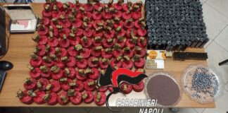 Ingente quantitativo di esplosivo e proiettili sequestrato dai carabinieri di Crispano
