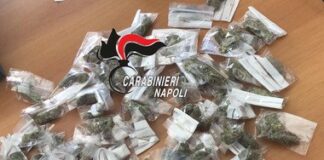 Parco verde di Caivano, operazione dei carabinieri: sequestrati circa tre chili di droga