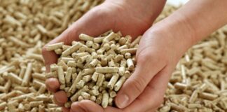 Sequestrate nel porto di Salerno 50 tonnellate di pellet in arrivo dall’Egitto