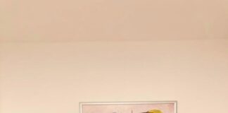 Forze dell’ordine: convegno sulle procedure concorsuali al centro ‘Colibrì’ di Lusciano