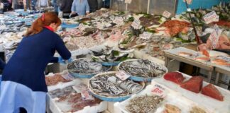 Natale a Napoli, riecco il mercato del pesce alla Pignasecca: tra la gente anche il vescovo Battaglia