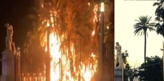 Fiamme alte nella Villa Comunale di Napoli, a fuoco alcune delle sue secolari palme