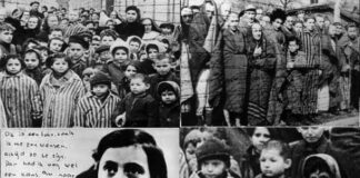 Auschwitz per non dimenticare: nemmeno i tanti orrori dei giorni nostri, ormai relegati a ‘distanza di sicurezza’