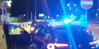 Benevento, due pastori arrestati dai carabinieri mentre stavano rubando in un mattatoio privato