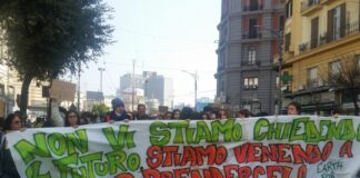 Fridays For Future, corteo a Napoli: “Veniamo a prenderci il futuro”