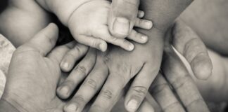 Dati Istat: “Le nuove famiglie con più monogenitori e meno coppie con figli”