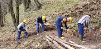 La denuncia dei sindacati della Campania: “Operai forestali senza stipendio a Pasqua, sono oltre 3 mila”