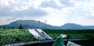 Avellino, giocatore denudato dopo la sconfitta: arrestati tre ultrà