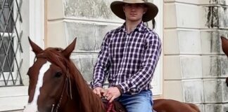 Salute mentale, viaggio di 1.180 km lungo l’Italia del cavallo Persano. Partenza dal Real sito di Carditello, tappa alla Emme Due di Sessa Aurunca