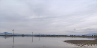 LE FOTO Straripano i Regi Lagni tra Villa Literno e Casal di Principe, Panaro (Comitato No al sito di compostaggio): “Classe dirigente colpevole”