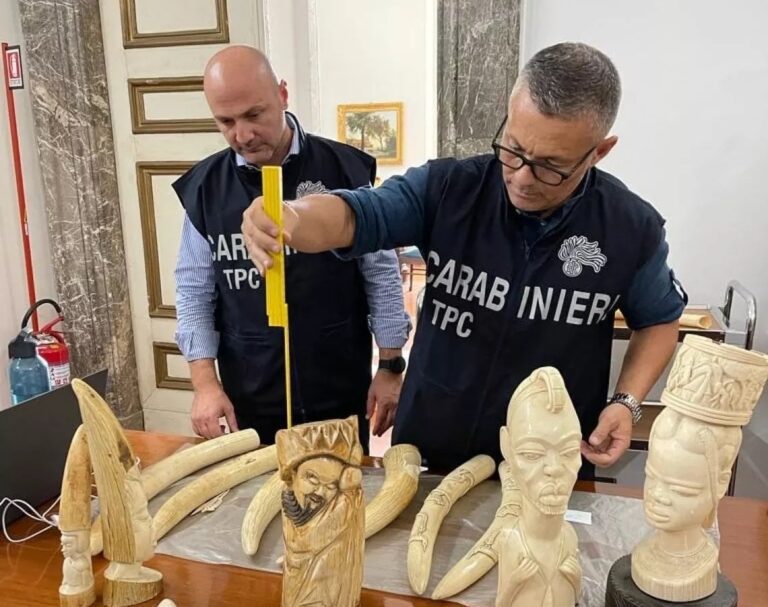 Ricettazione di beni culturali, arrestato casertano: rubati libri antichi, dipinti e monete
