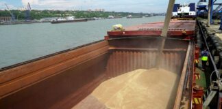 Torre Annunziata-Castellammare di Stabia, sdoganata nave con 7mila tonnellate di grano proveniente dall’Ucraina