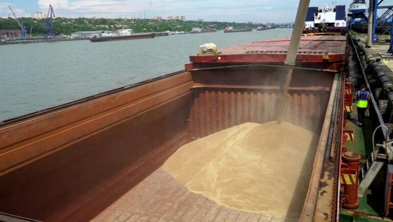 Torre Annunziata-Castellammare di Stabia, sdoganata nave con 7mila tonnellate di grano proveniente dall’Ucraina