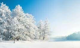 Tempesta di neve paralizza gli Stati Uniti: almeno 28 morti per l’ondata di gelo, temperature a meno 50 gradi