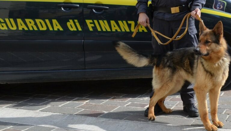 Salerno, “cash dog” della Finanza fiuta 1,8 milioni di contanti: nei guai imprenditore che voleva acquistare le quote della Maxoil di Claudio Lotito