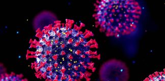 Covid, Iss: Rt stabile a 0,83, sotto soglia epidemica. Campania a rischio moderato, allerta in tre regioni