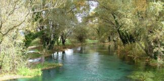 Esonda il fiume Volturno, danni per 150mila euro: colpite Capua, Bellona, Cancello ed Arnone, Castel Volturno, Santa Maria La Fossa e Grazzanise