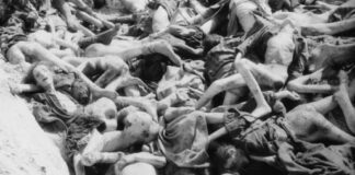 Sguardo fisso sull’orrore per non dimenticare 11 milioni di innocenti uccisi dal nazifascismo