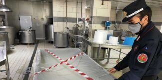 Caserta, titolare azienda a processo: avrebbe venduto latte di bufala non genuino a un caseificio