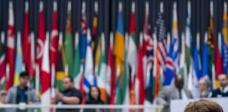 Pil, Fmi alza le stime di crescita: farà meglio di Germania e Francia