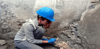 Pompei, trovati due scheletri nella Casa degli Amanti