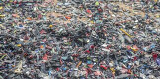 Nel 2022 oltre 30mila reati ambientali, 84 al giorno