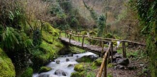 Progetto Cultura AgroSociale, hiking alla riscoperta della Cascata di Conca della Campania