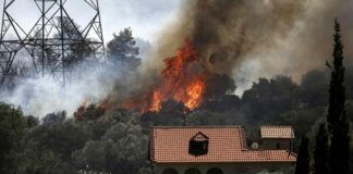 Grecia, maxi incendio a 50 chilometri da Atene: evacuati 1.200 bambini