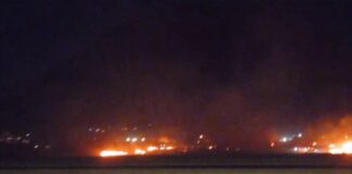 Allarme diossina a Palermo, Arpa Sicilia: “Dato 35 volte superiore alla norma”