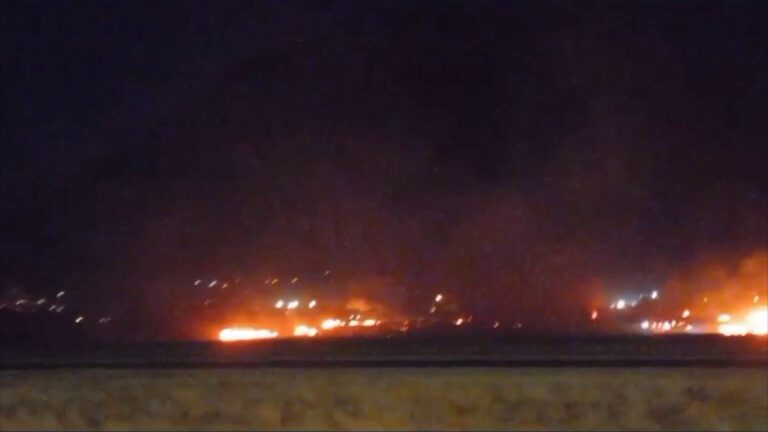 Allarme diossina a Palermo, Arpa Sicilia: “Dato 35 volte superiore alla norma”