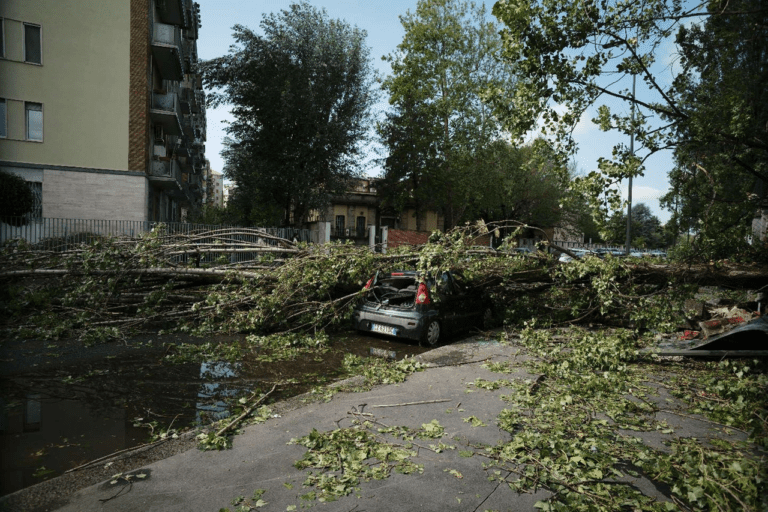 FOTO Tempesta su Milano, alberi sradicati e case allagate. Sala: “Vento oltre 100 km orari. In 65 estati mai vista una cosa così”
