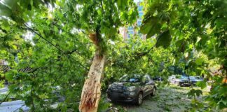 A Milano torna il sole, notte “infernale” e “senza sosta” per i Vdf: 350 richieste d’intervento