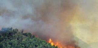 Ispra: “Italia in fiamme, quasi 60mila ettari colpiti”