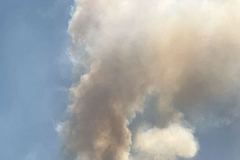 Ischia brucia, vasto incendio in un’area boschiva: 4 ettari in fiamme
