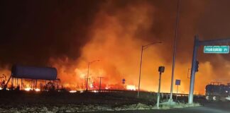 Hawaii in fiamme, sale a 89 il bilancio delle vittime: danni per 5,5 miliardi