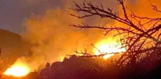 Incendio all’Isola d’Elba: 700 evacuati. Il governatore Giani: “Seguo la situazione con la protezione civile”