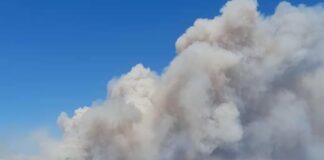 Incendi in Sardegna, trovati inneschi: il bilancio dei feriti sale a quattro