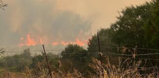 Brucia ancora la Sardegna, Coldiretti: “A fuoco centinaia di ettari”