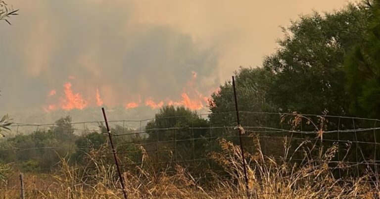 Brucia ancora la Sardegna, Coldiretti: “A fuoco centinaia di ettari”