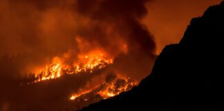 Tenerife brucia, fiamme fuori controllo: migliaia di evacuati