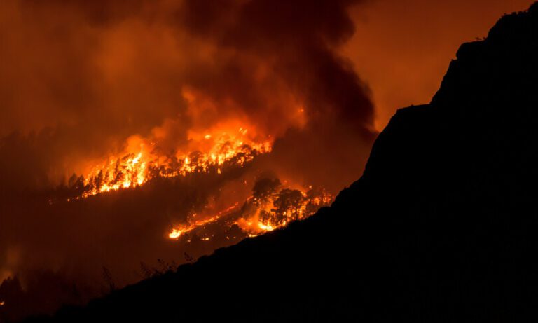 Tenerife brucia, fiamme fuori controllo:  migliaia di evacuati