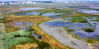 Ecoitinerario Agro-Domitio: hiking alla riscoperta dell’oasi delle Soglitelle e del litorale