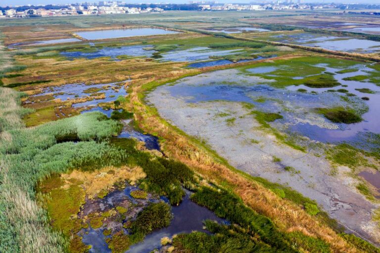 Ecoitinerario Agro-Domitio: hiking alla riscoperta dell’oasi delle Soglitelle e del litorale