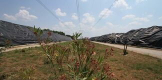 Corte di Strasburgo condanna l’Italia per discarica a Caserta, il sindaco: “Bonifica della discarica avviata da Comune”