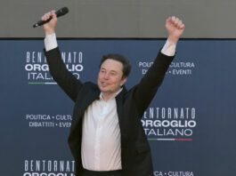 Musk cerca lavoratori con QI alto per il dipartimento governativo: “Niente paga e 80 ore a settimana”. Più che un’idea geniale sembra una c…ta