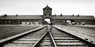 Giorno della Memoria, la politica italiana ricorda l’orrore della Shoah. Meloni: “Mai oblio sulla malvagità nazifascista e le leggi razziali”