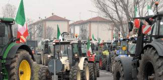 Protesta dei trattori, Irpef al 50% per redditi tra 10 mila e 15 mila euro. Continua la tensione tra FdI e Lega